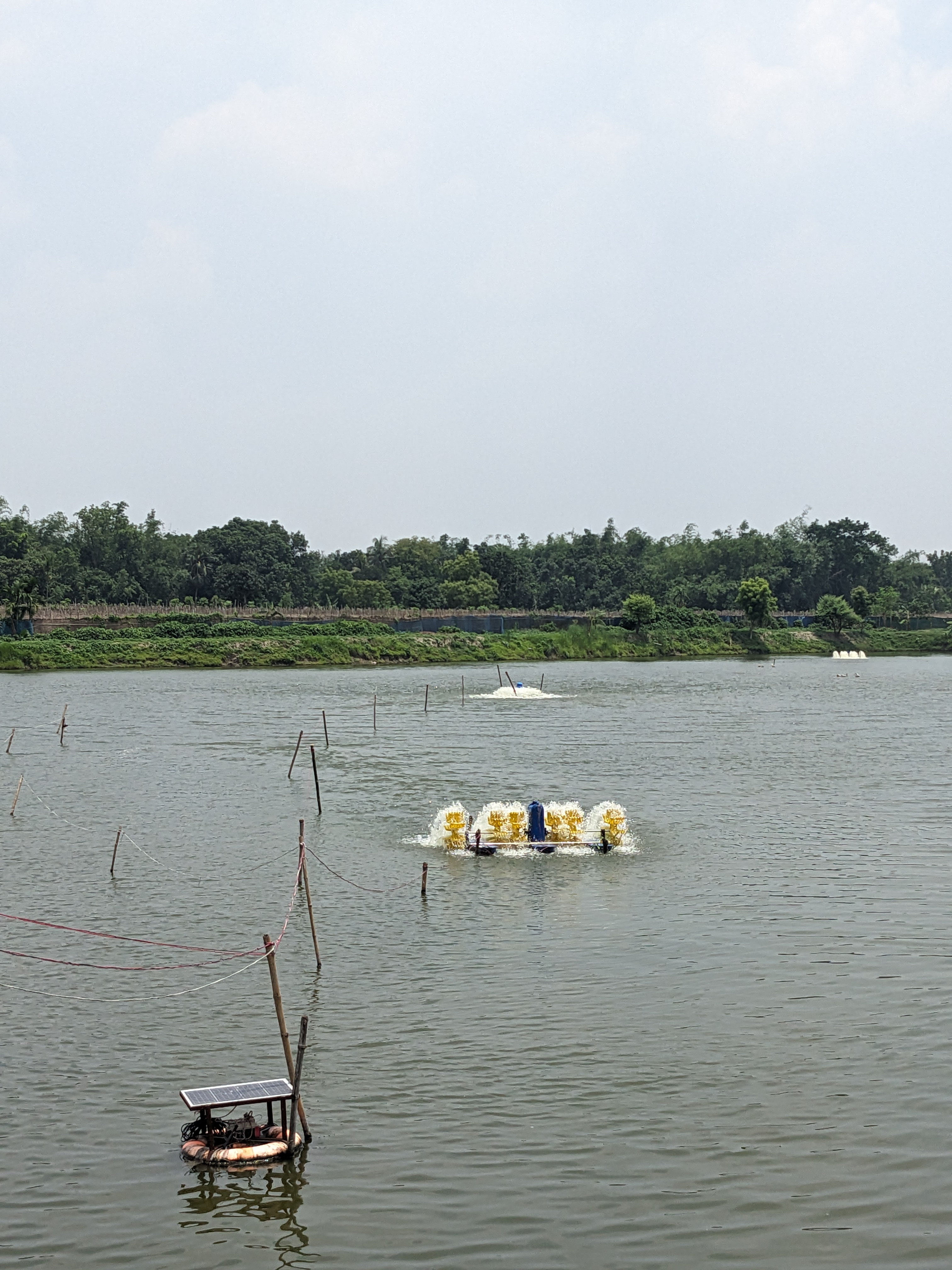 xFishery Experience Center