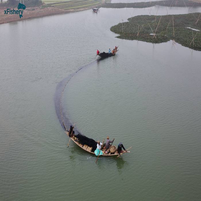 River and village ponds in Bangladesh