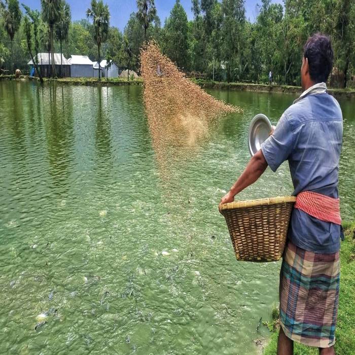xFishery IoT project at a fish farm